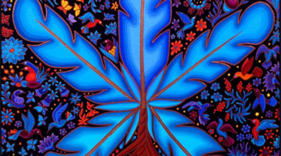 Unity | Broňa Wingell