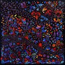 1001 Nights | A Testimonial